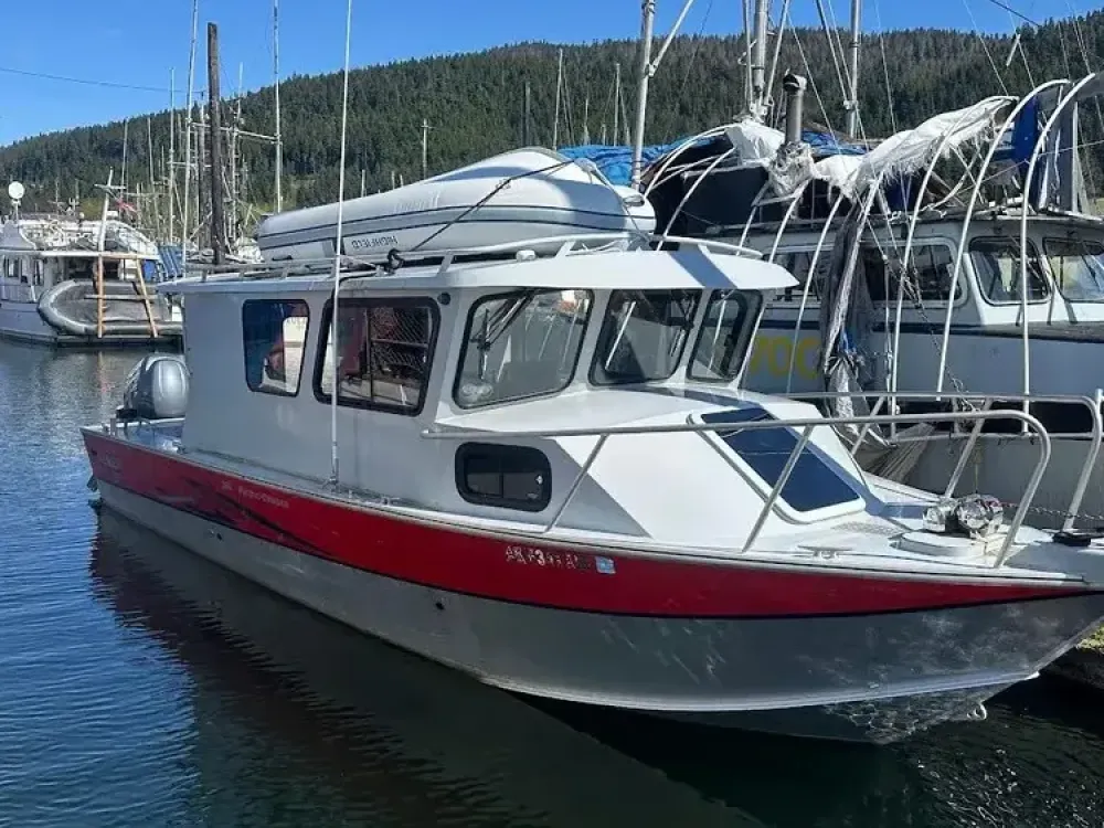 Exclusive Whale Watching - 1