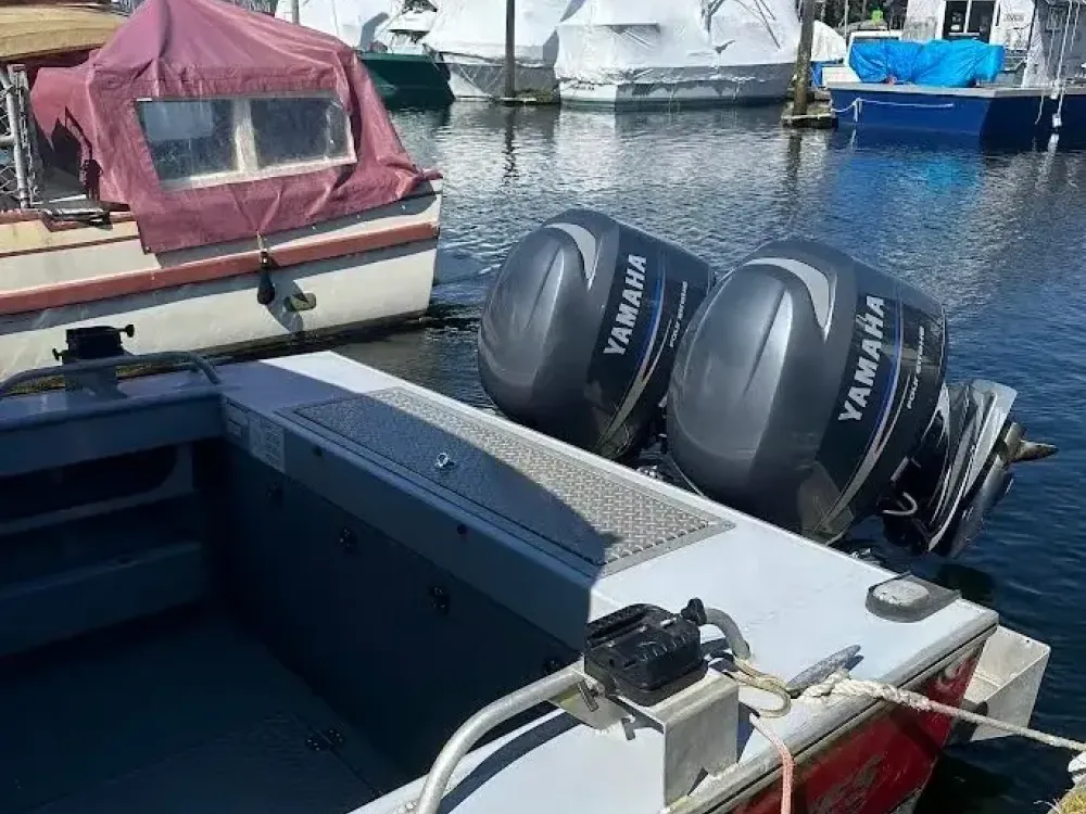 Exclusive Whale Watching - 3