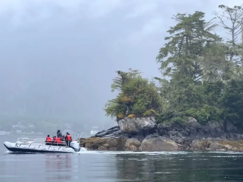 Marine Expedition & Wildlife Quest - 1