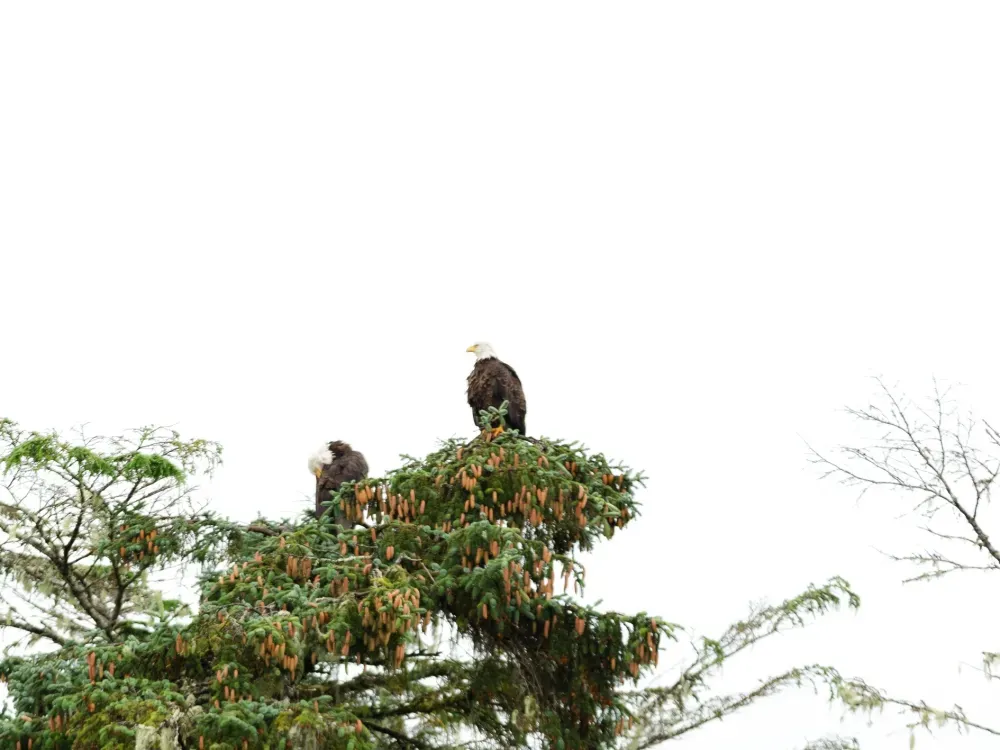 Marine Expedition & Wildlife Quest - 4