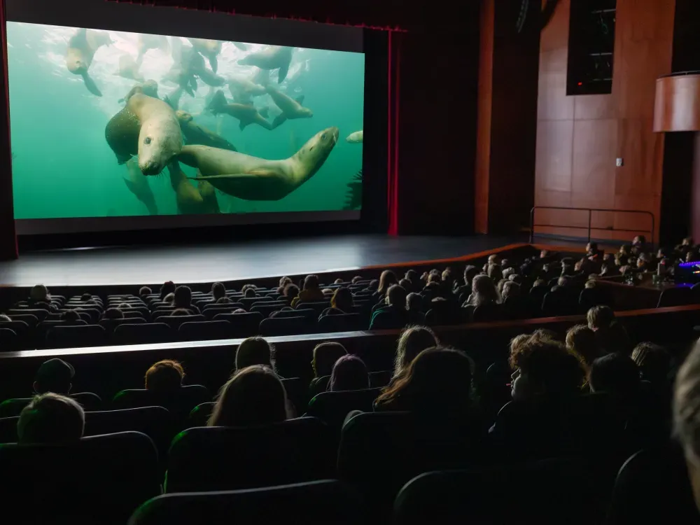 Sitka's Hidden Wonders Wildlife Film - 1