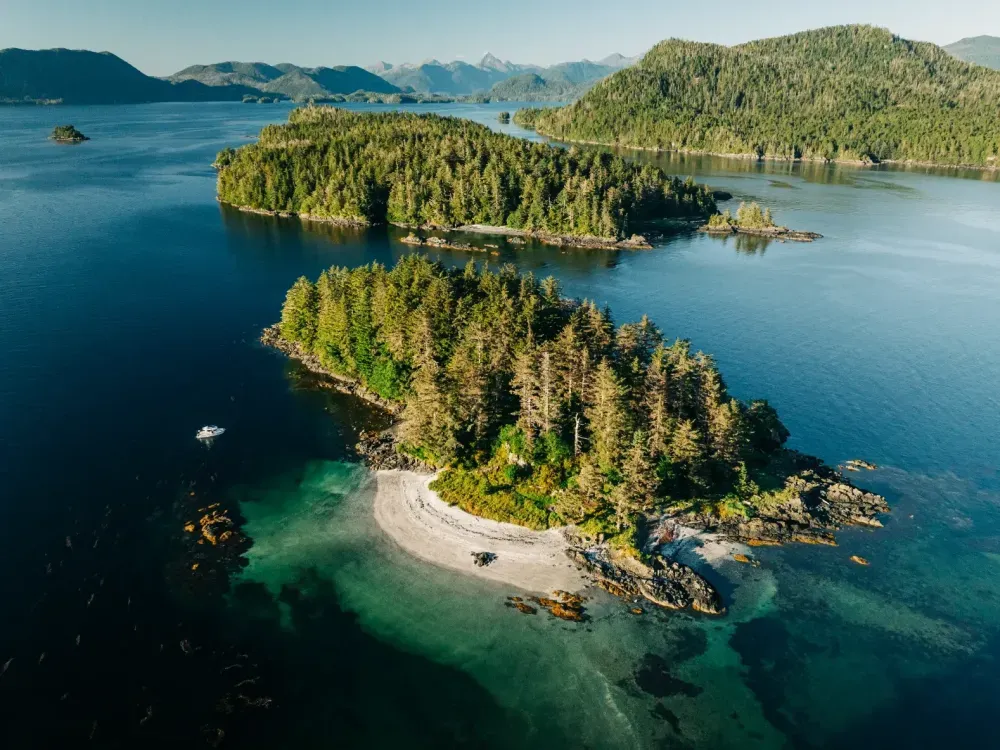 Private Sitka Wildlife Boat Tour (Full Day) - 4