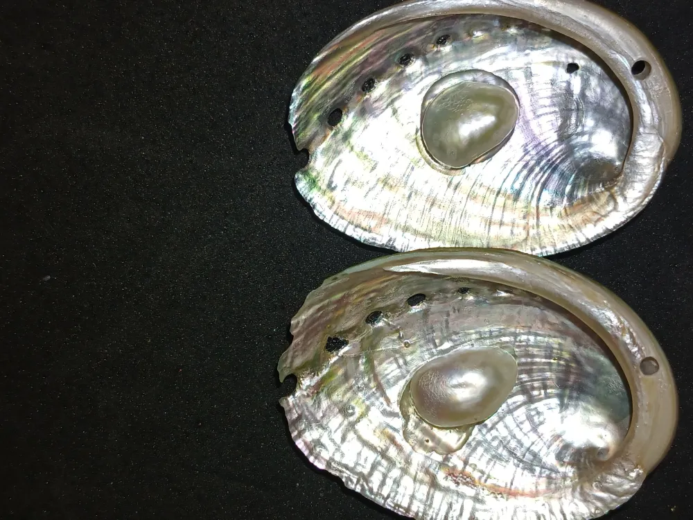 2026 Coastal Treasures Collection - 4
