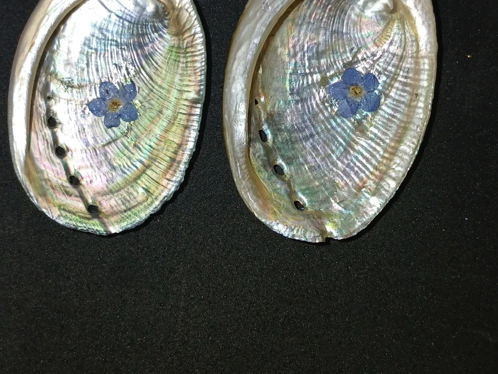2026 Coastal Treasures Collection - 3