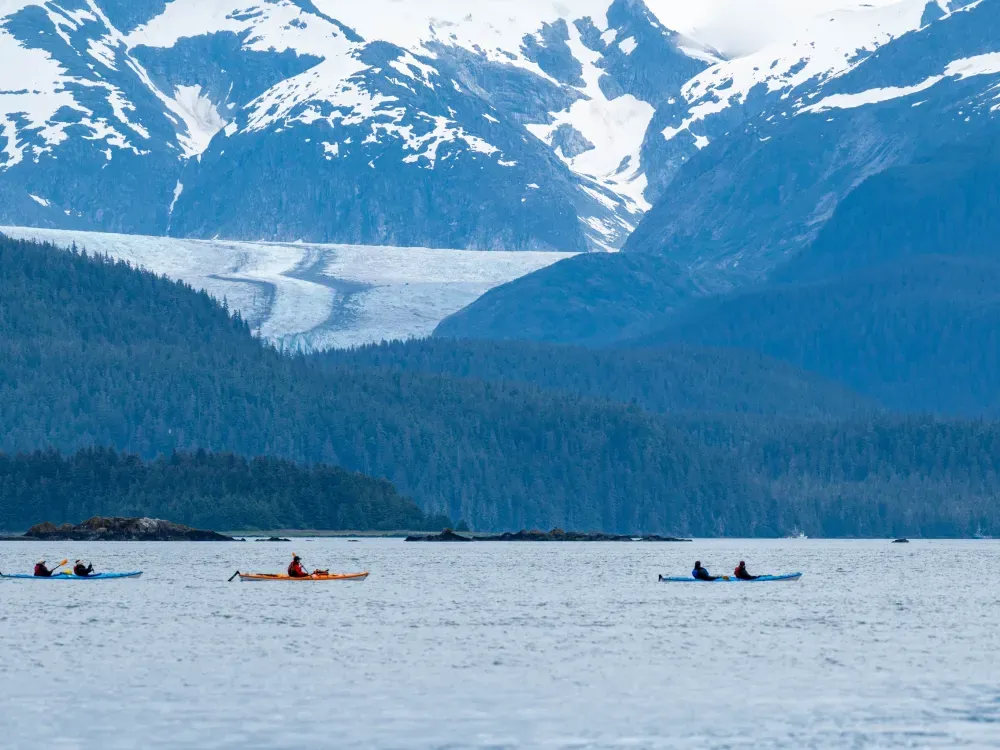 Paddle With Whales Kayak Adventure - 4