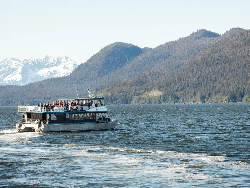 Mendenhall Glacier & Whale Quest - 3