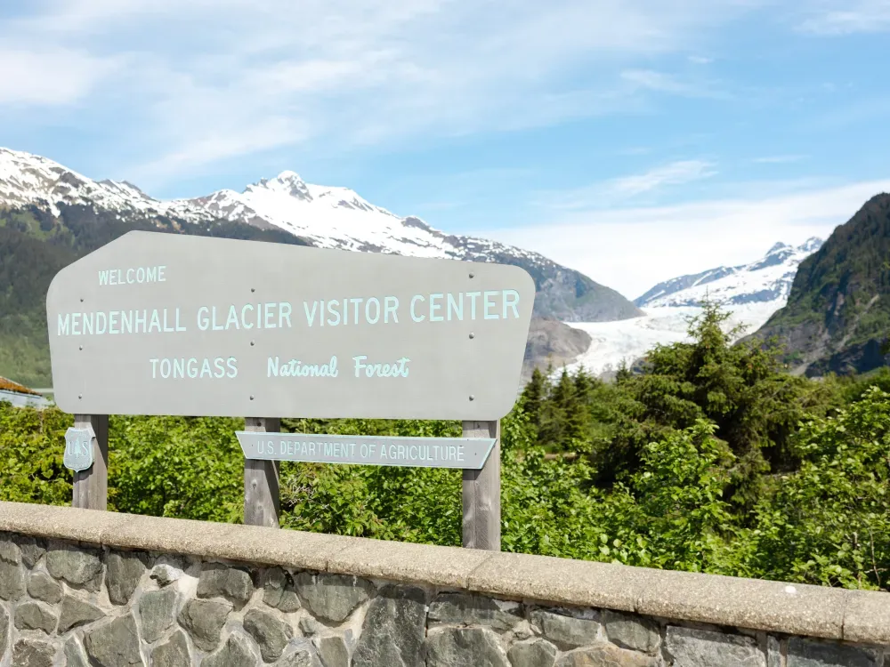 Mendenhall Glacier & Whale Quest - 2