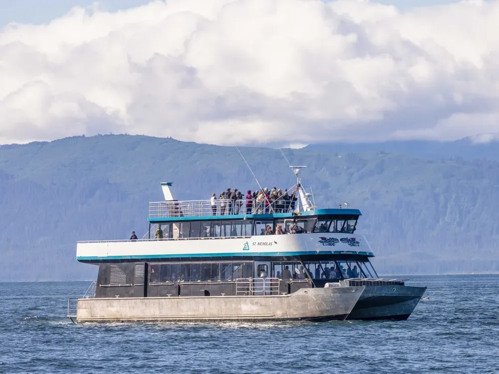 Mendenhall Glacier & Whale Quest - 4