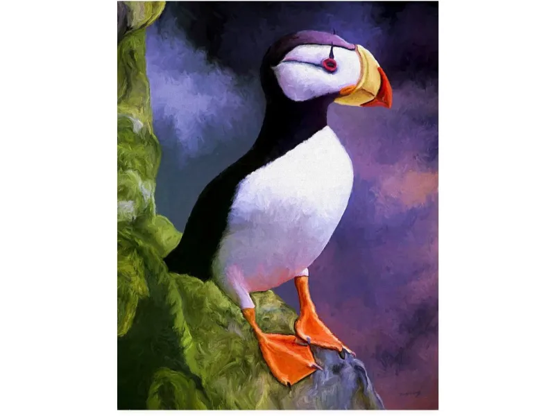 Horned Puffin