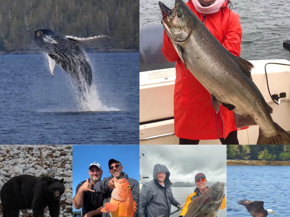 Full Day Combo Fishing Tours - 3