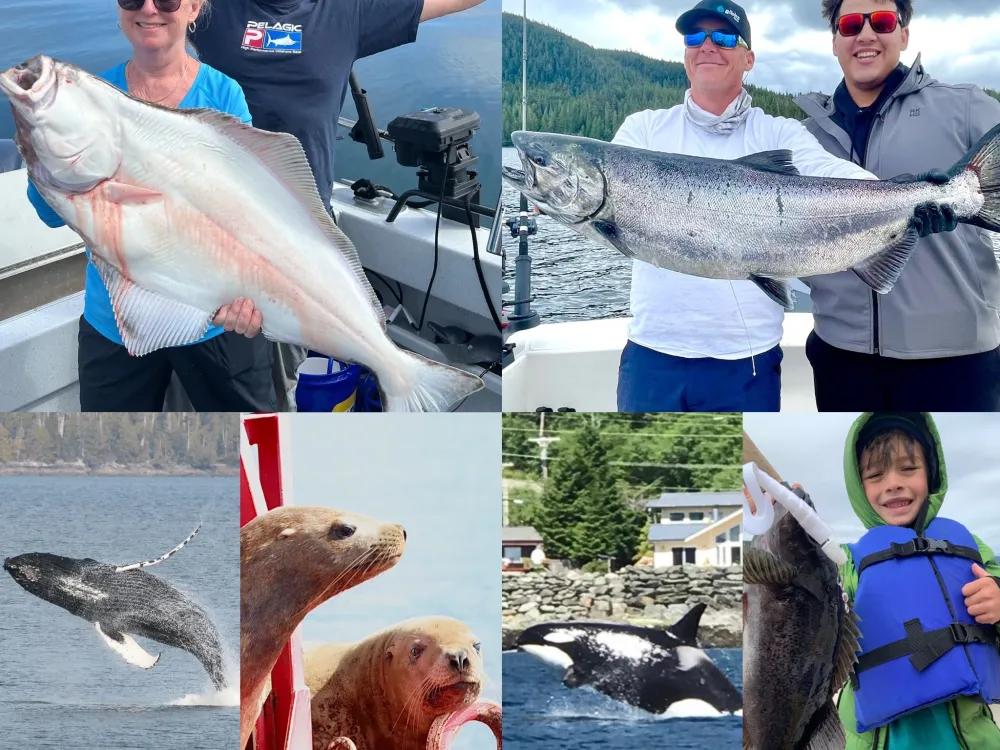 Full Day Combo Fishing Tours - 5