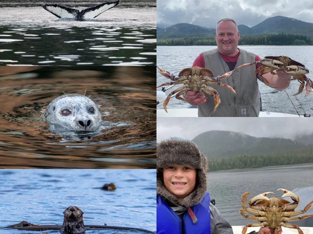 Ketchikan Crabbing, Whales & Wildlife Excursion - 2