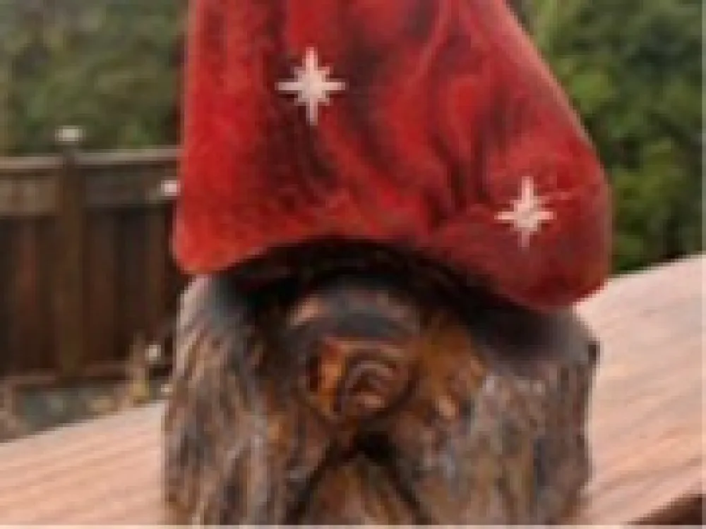 Red Star Gnome - 3