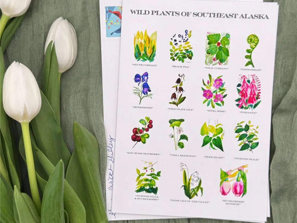 Wild Plants of Southeast Alaska Greeting Card