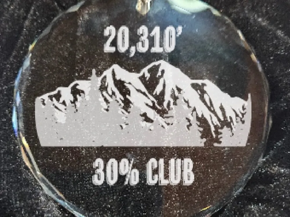 30% Club Christmas Ornament