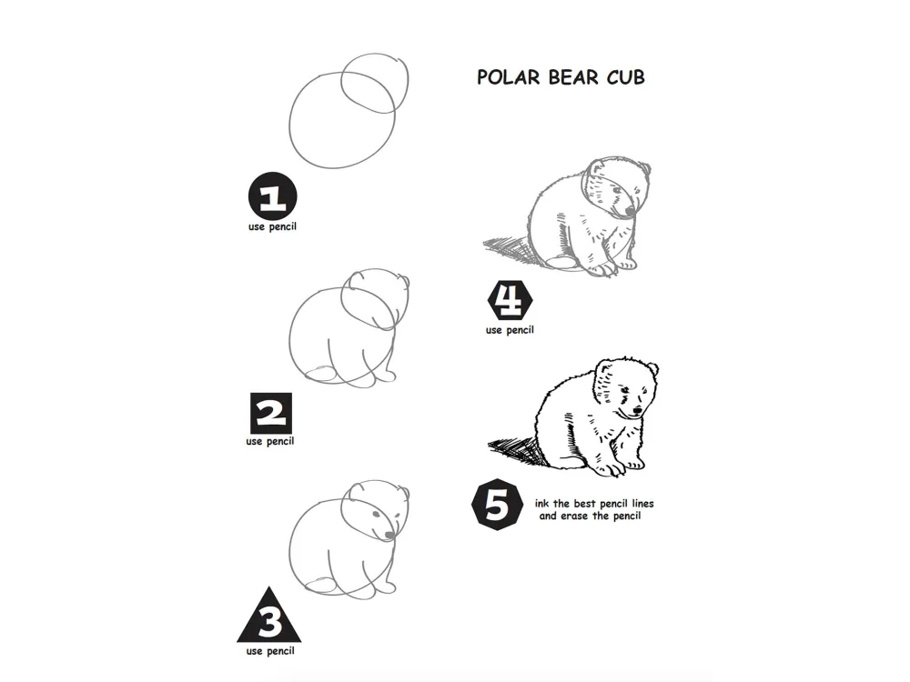 How to Draw Alaskan Baby Animals Activity Book - 2