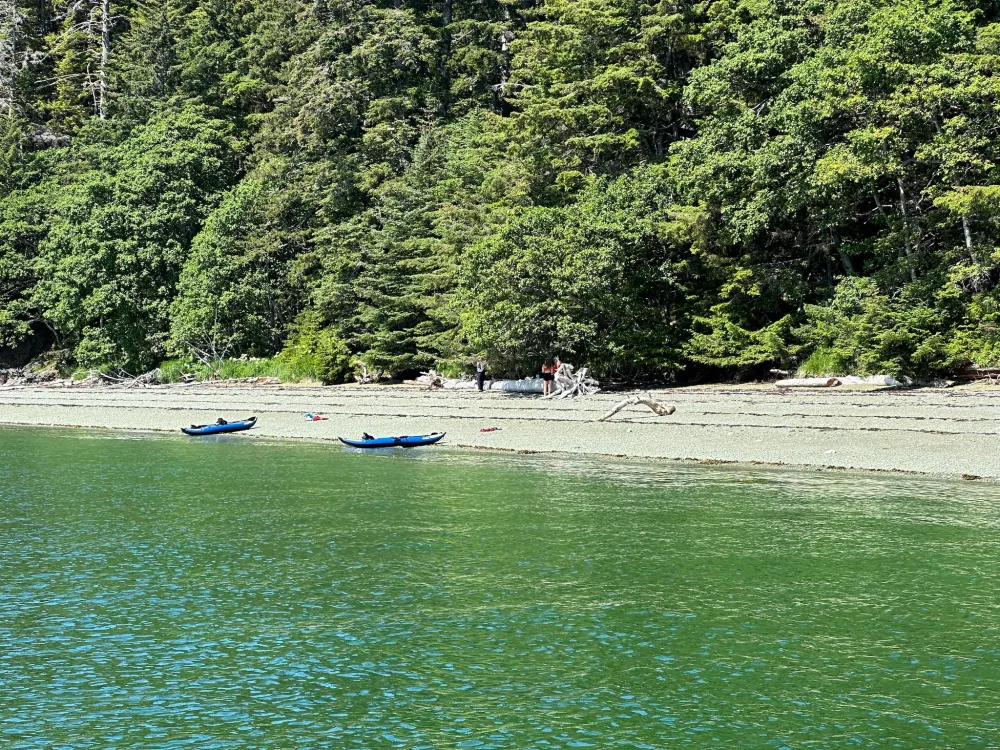 Private Juneau Whale Watching, Kayaking & Glacier View Adventure - 2