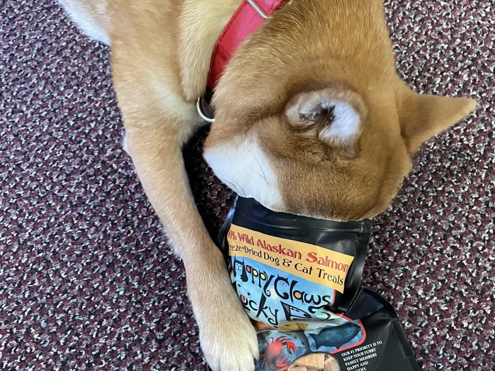 Freeze-dried Wild Alaskan Salmon - 3
