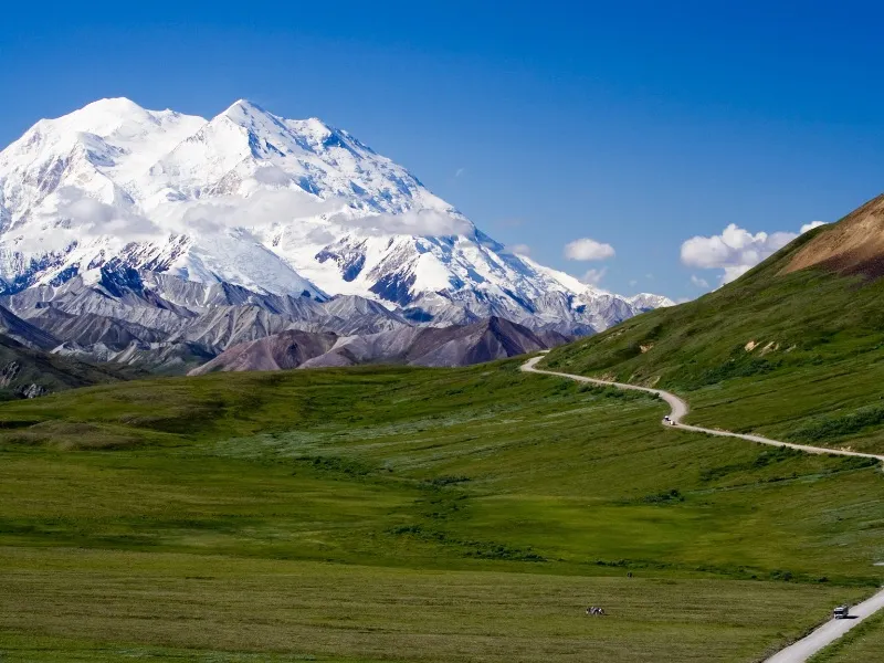 What To Do In Denali National Park And Preserve