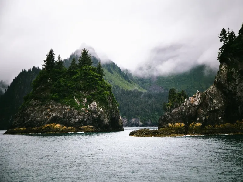 All About Kenai Fjords National Park