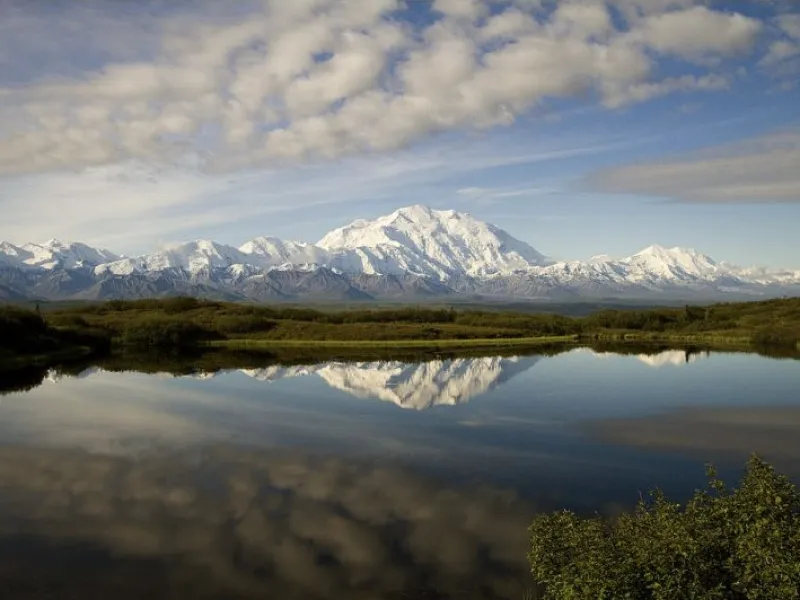 All About Denali National Park