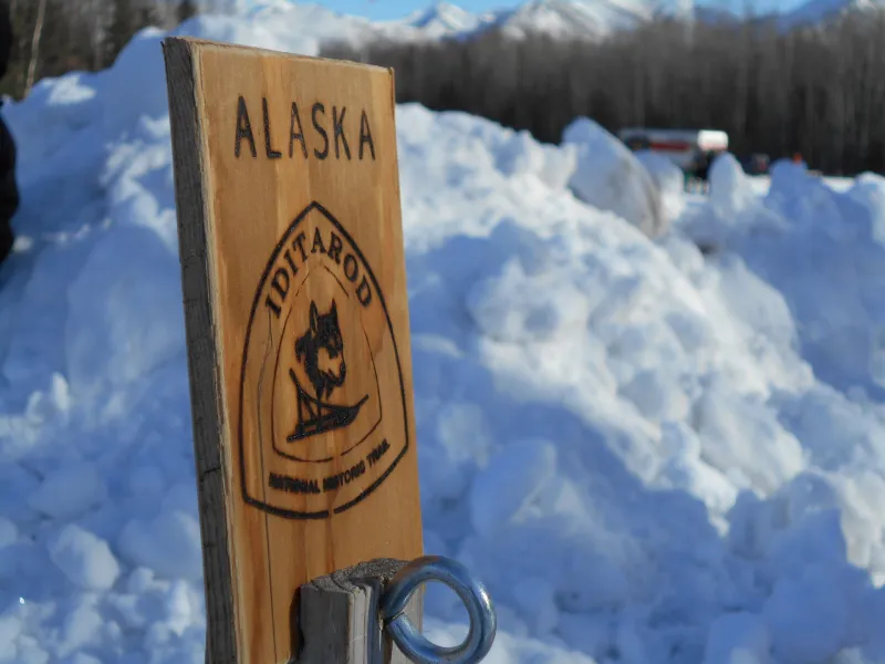 Rhoda Turinski: The Iditarod Grandmother