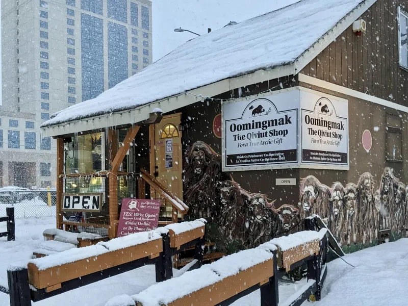 Oomingmak Musk Ox Producers Co-op: an original Alaskan Co-operative owned by approximately 250 Alaskan Native women
