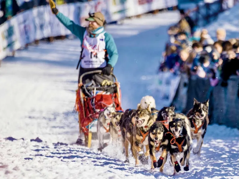 Running the Iditarod- A Story of Perseverance