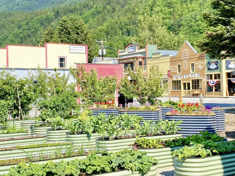 Free Things to do In Skagway Alaska During the Summer