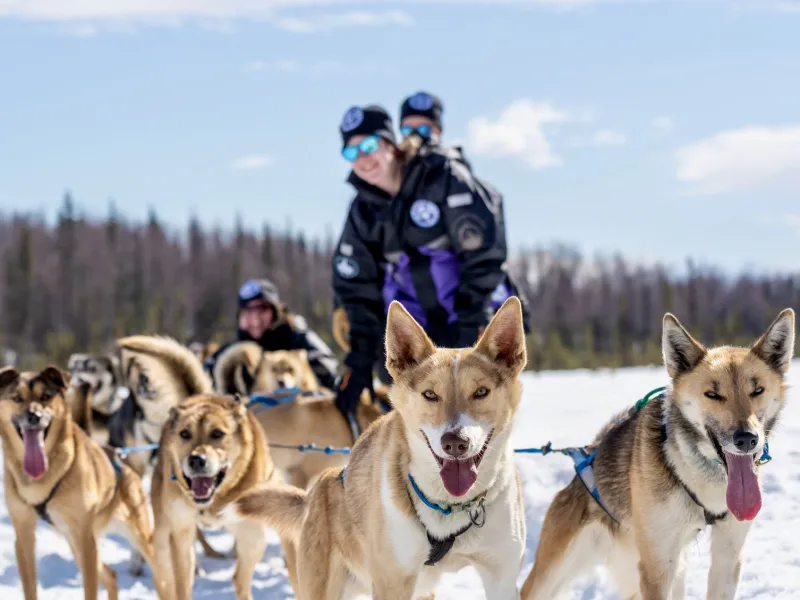 An Interview with Liz Failor From Alaskan Husky Adventures