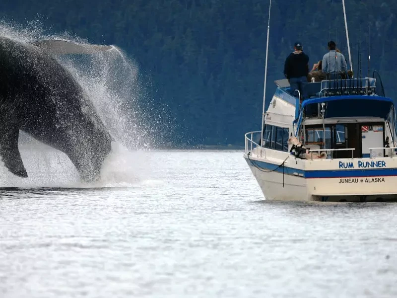 Captain Chris Goes To Where The Fish Are. And The Whales. And Seals. And Eagles.