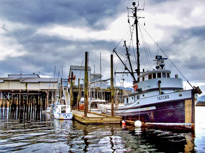 Navigating the Waters: A Dive into the World of Alaska's Fishing Boats