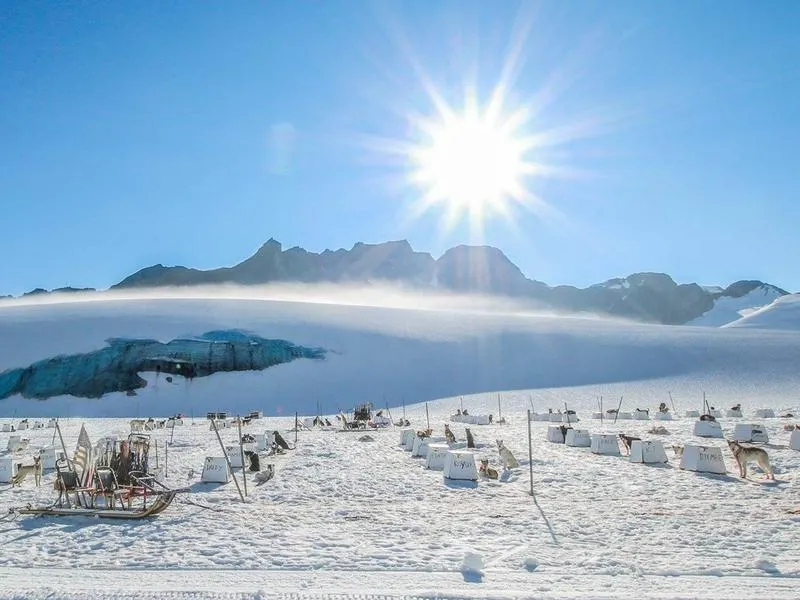 A Musher’s Life: Winning The Yukon Quest
