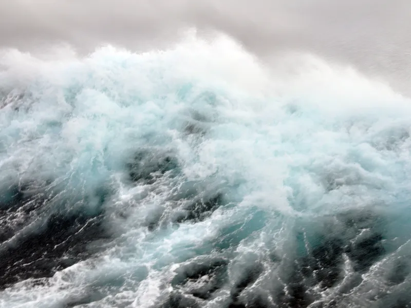 Whispers of the West: The Profound Impact of Chinook Winds on Society and Environment