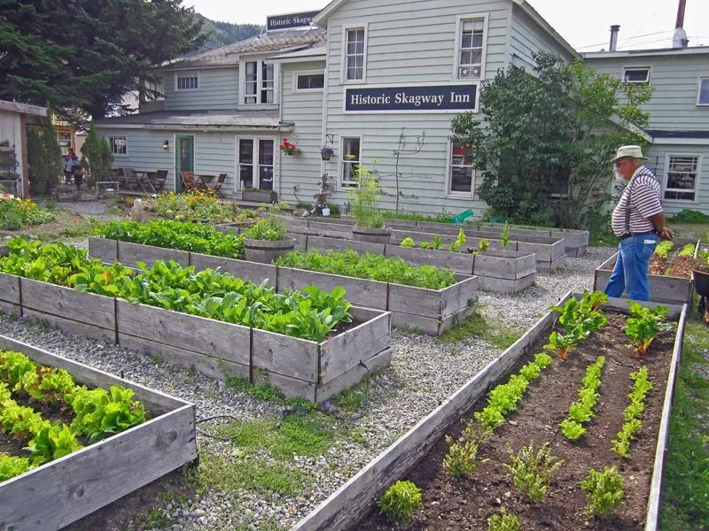 Tomatoes On Monday? Maybe, Maybe Not
