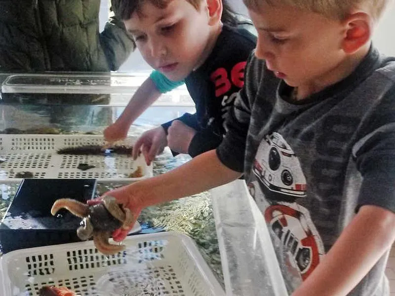 Juneau’s Macauley Salmon Hatchery: Teaching Salmon To All Ages