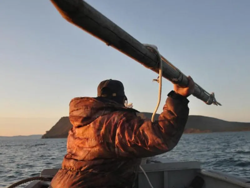 Ivory Jacks Owner Kurt Tripp, Native Art and Twice Eaten Clams