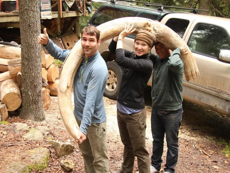 Chasing Woolly Mammoths