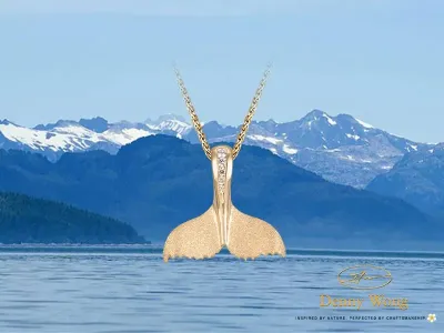 Voyij