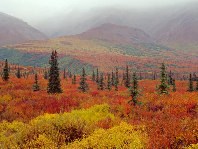 FALL-ing Into Alaska: Travel Like A Local