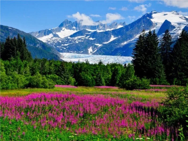Top 10 Things to Do in Alaska in Summer
