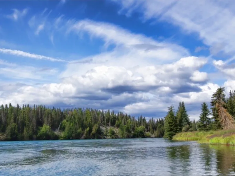 Why Summer is the Best Time to Visit Alaska