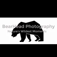 BearHead Photography