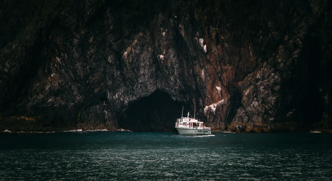 Sailing & Day Cruises