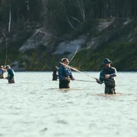 The Sealife & Fishing Collection