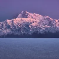 The Alaska Collection