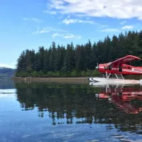 The Popular Collection