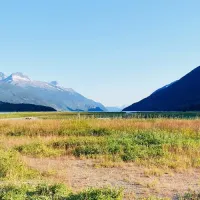 The Gold Rush Collection