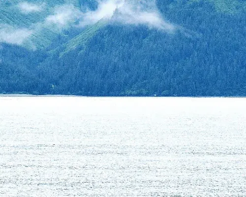 Seward