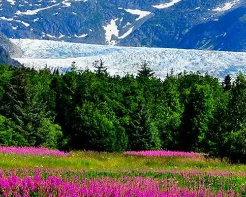 Juneau